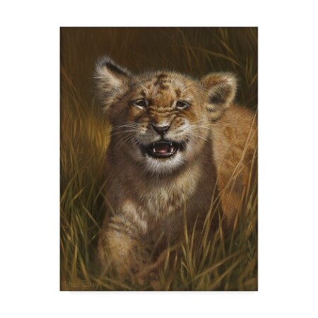 Michael Jackson 'Baby Tigers' Canvas Art,24x32